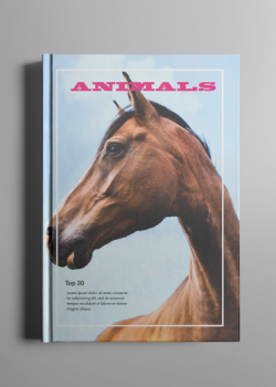 Без названия